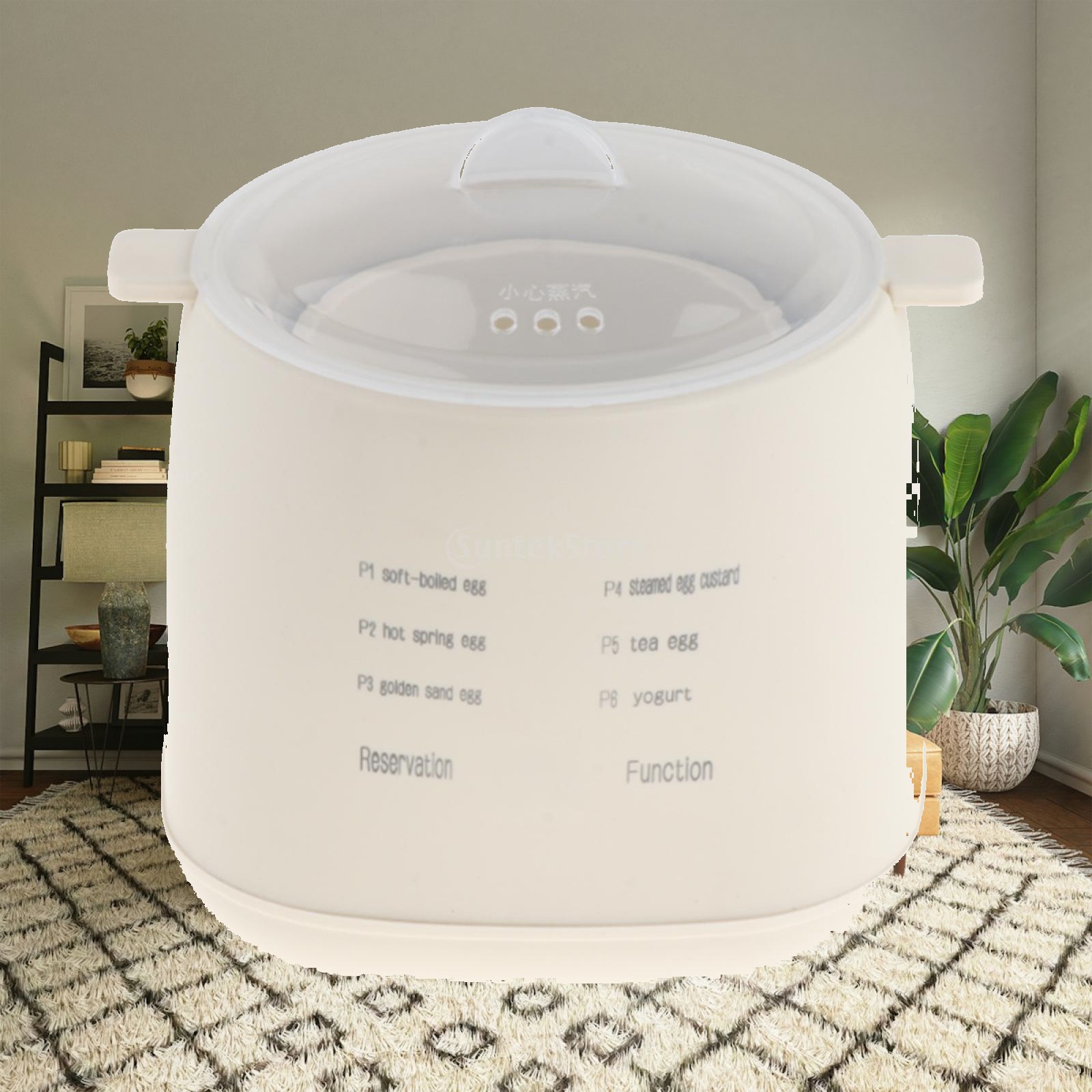 Egg Cooker Rapid - Cuiseur à œufs électrique rapide, facile