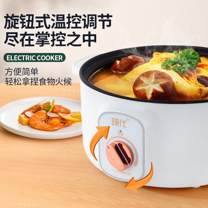 Mini-casserole électrique mult - Kitchen Appliances For Cooking avis et prix